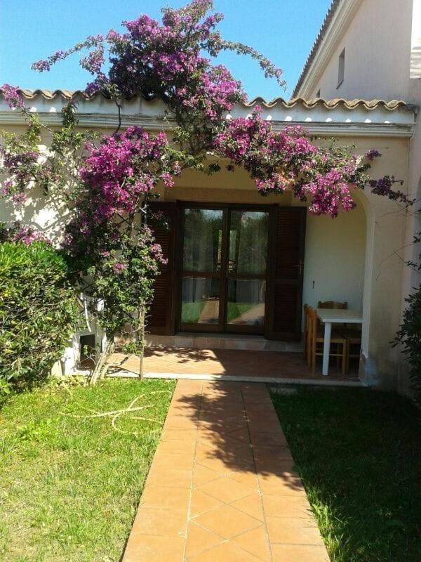 Casetta Le Tre Querce San Teodoro  Luaran gambar